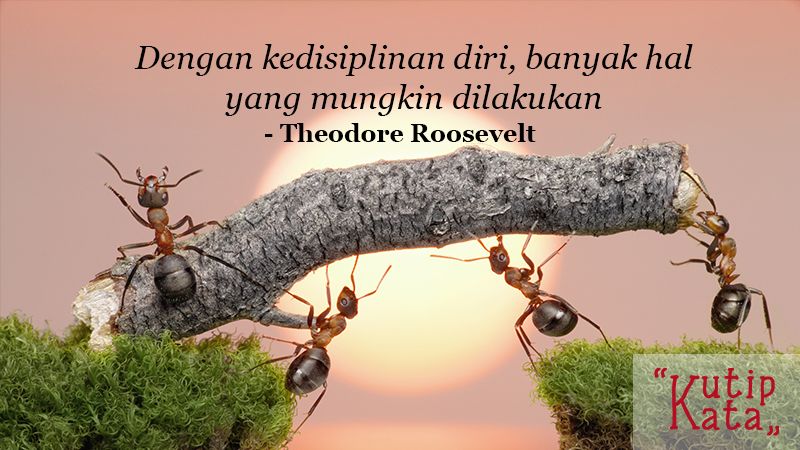 Kata Kata Bijak Mutiara Kehidupan Theodore Roosevelt