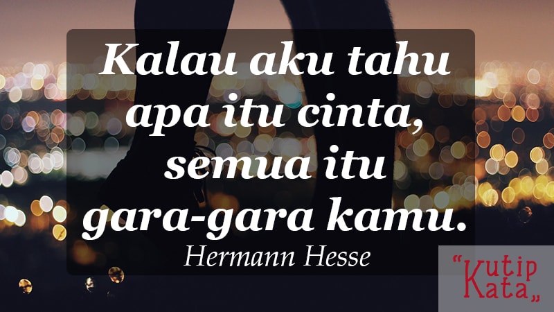 kata kata indah untuk kekasih - Hermann Hesse